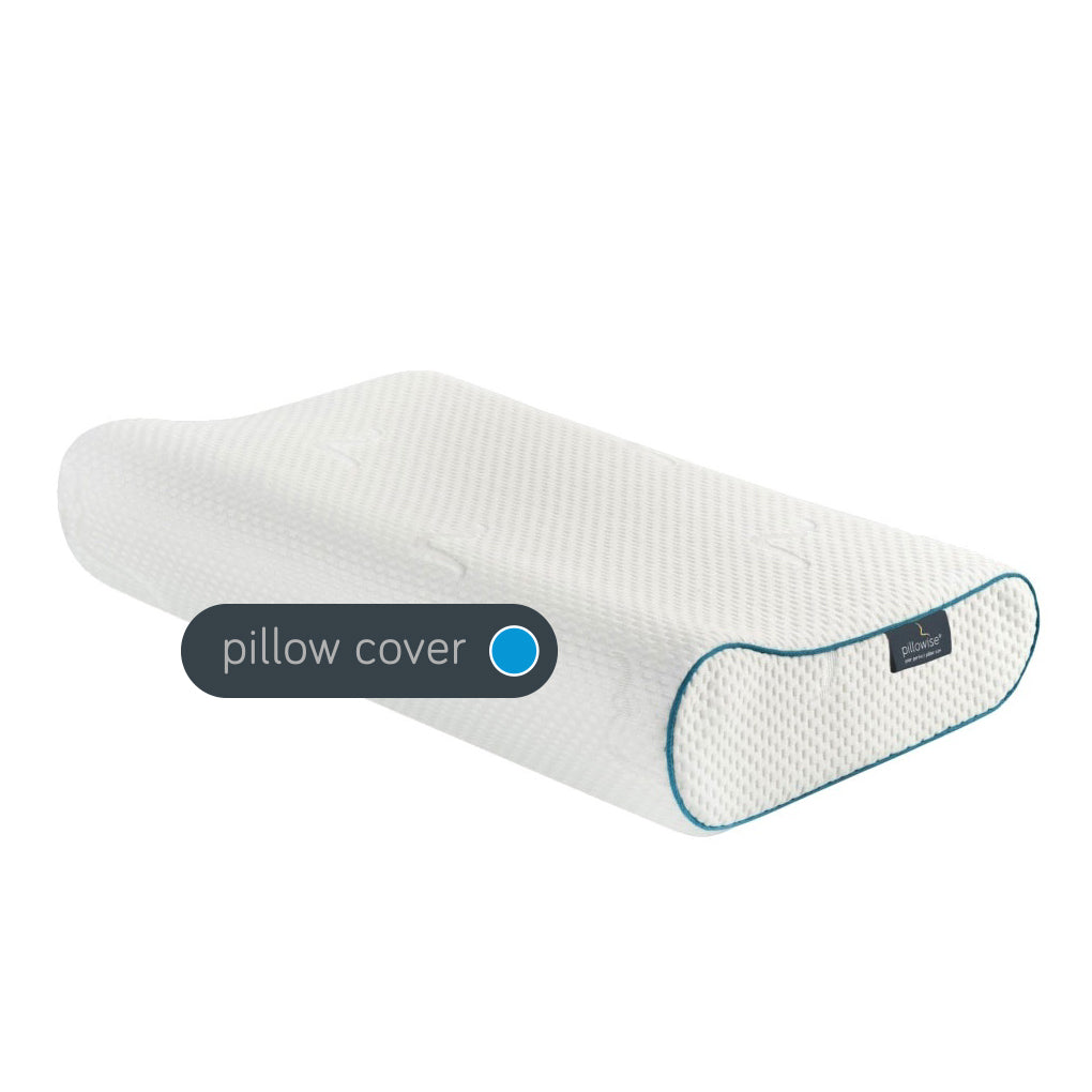 Extra Cover Pillowise Blue