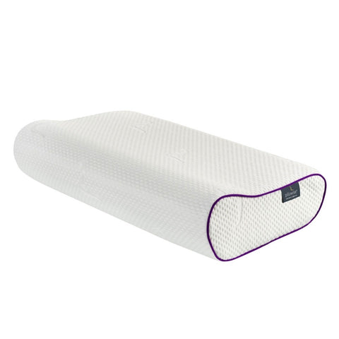 Queen Pillowise Pillow Purple